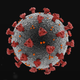 Image for article titled Most Idiotic Things Anti-Vaxxers Actually Think Will Cure Covid